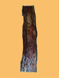 Esophagus Chip 12"