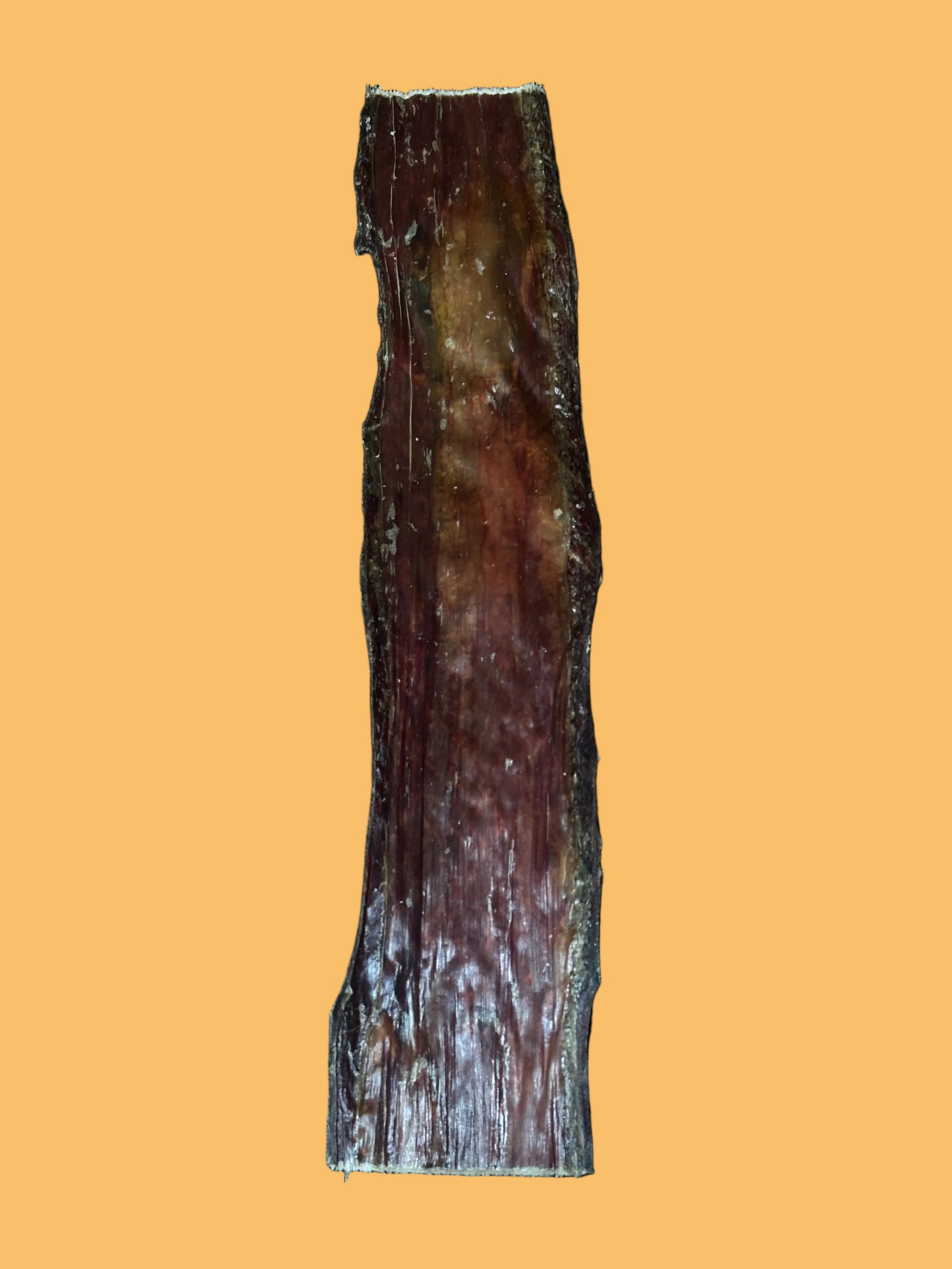 Esophagus Chip 12"