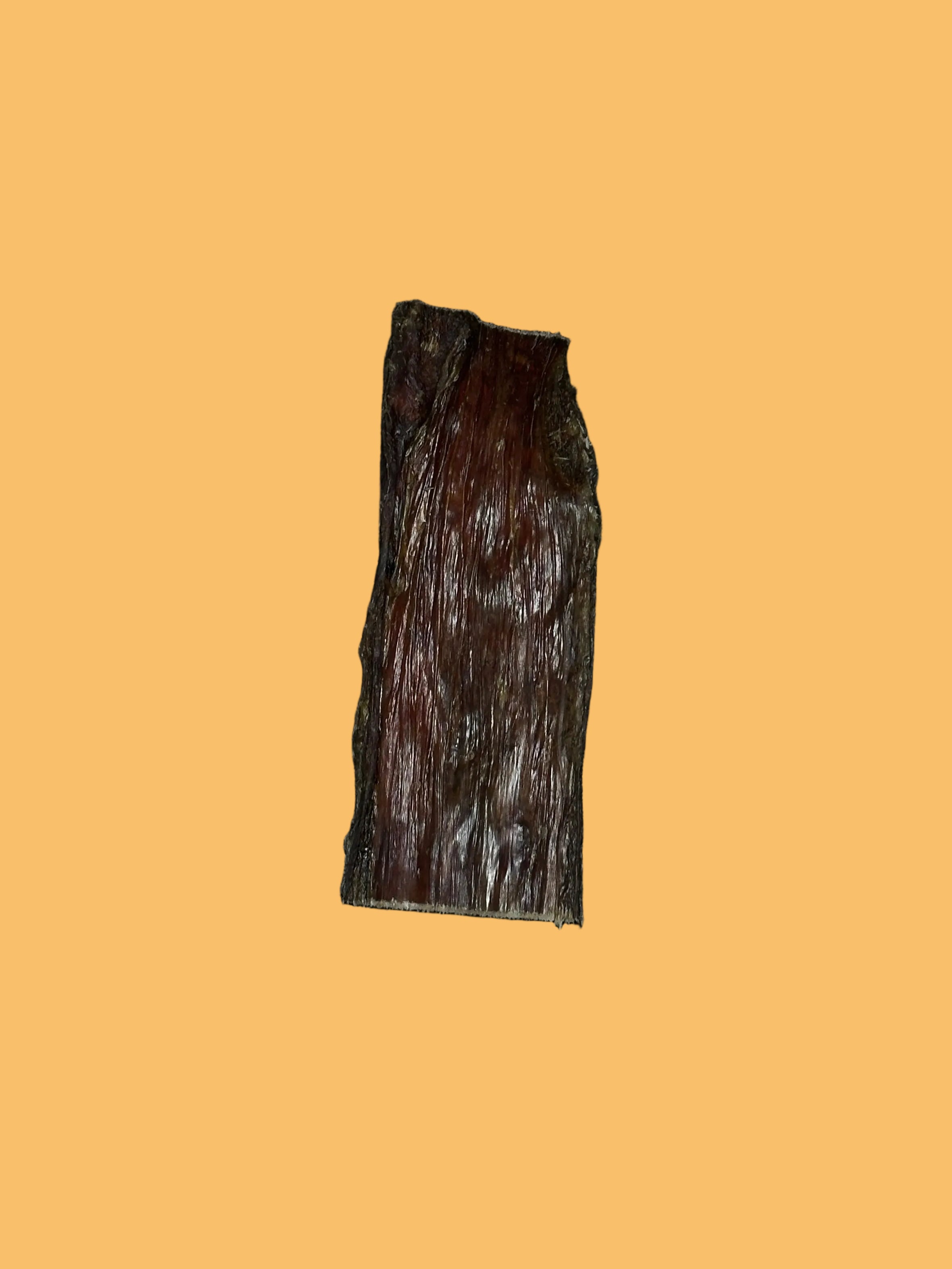Esophagus Chip 2x6"