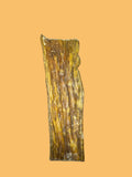 Bovine Tendon