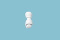 Bone 3–4" Natural