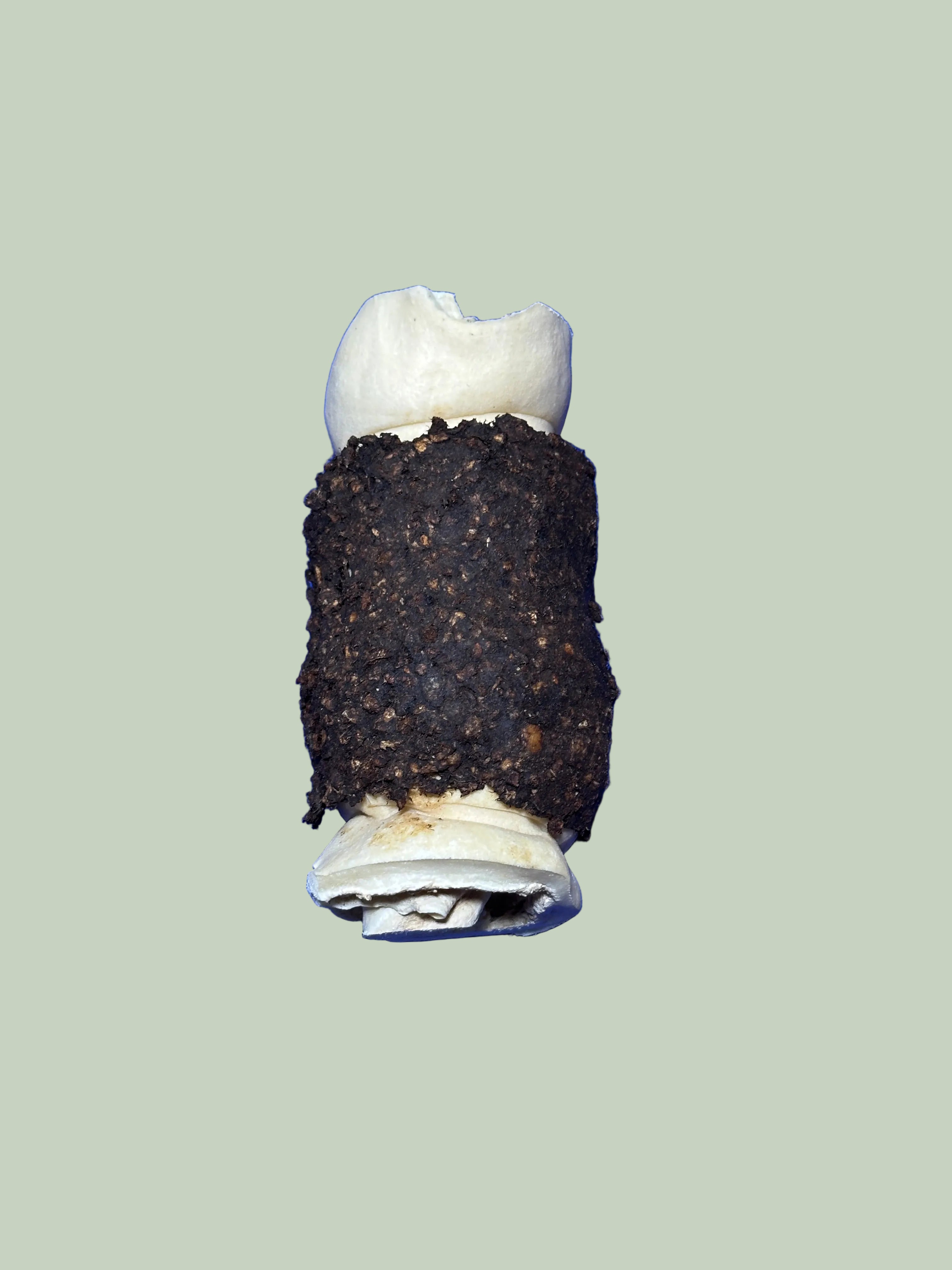 Beefhide Roll 5-6" Beef Basted