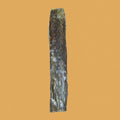 Esophagus Chip 2x12"