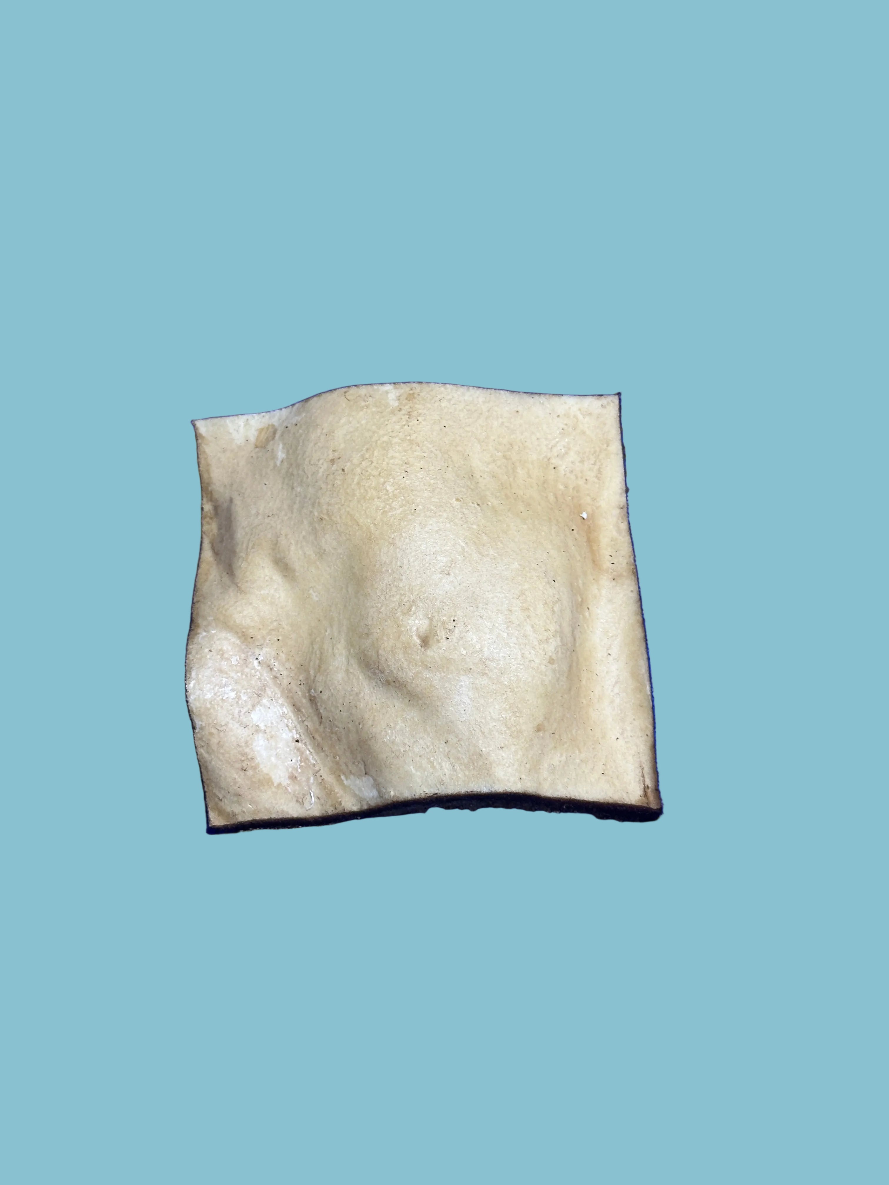 Chip 4 x 4" Smoked Flavor