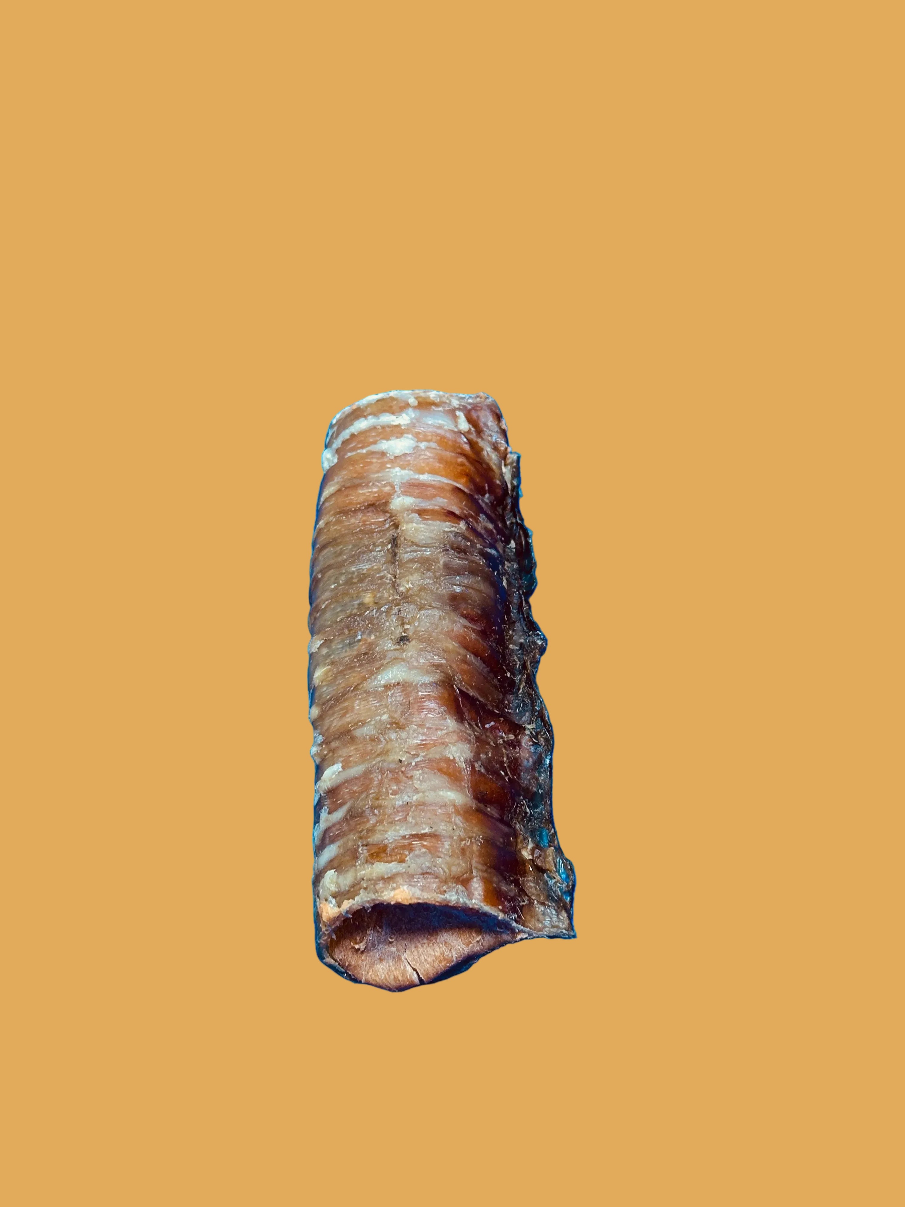 Trachea Roll 5-6" Chicken Stuffed