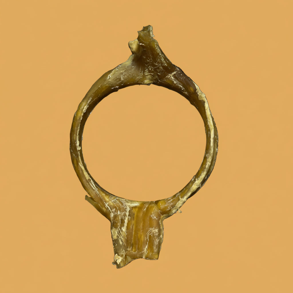 Bovine Rila Ring