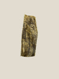 Collagen Chip 6"